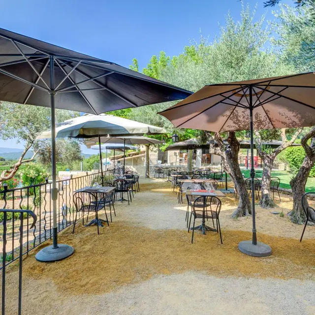 Terrasse à l'ombre des oliviers