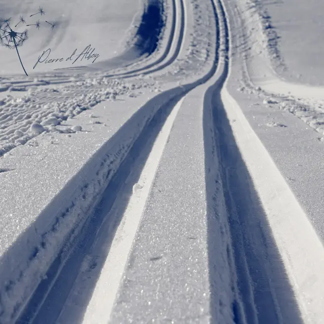 Ski de fond_Saint-Chaffrey