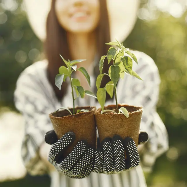 Troc aux plantes_Sauveterre