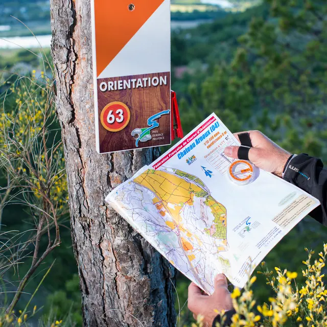 Course d'orientation