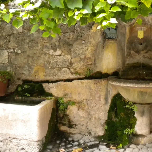 Fontaine du château