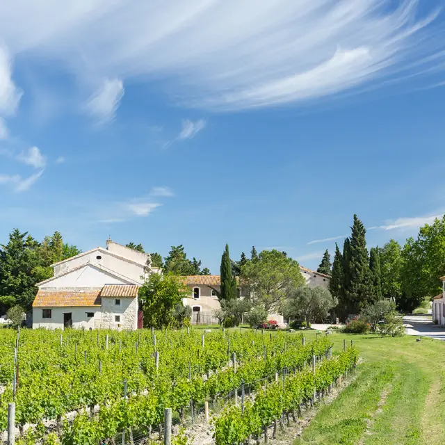 Domaine Mas de Rey Arles