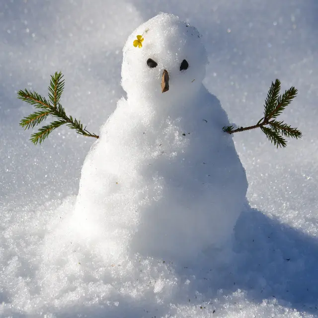 Bonhomme de neige