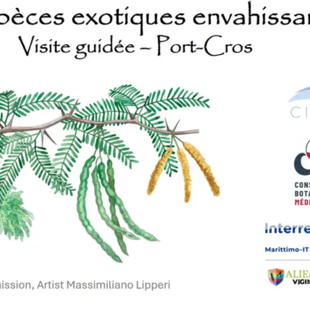 Balade nature Port-Cros : les trésors du Var menacés_Hyères