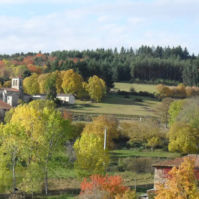marche de la chataigne