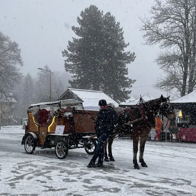 Noël sur un Plateau_Passy
