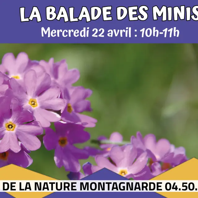 La Balade des Minis : Les minis couleurs de la nature_Sallanches