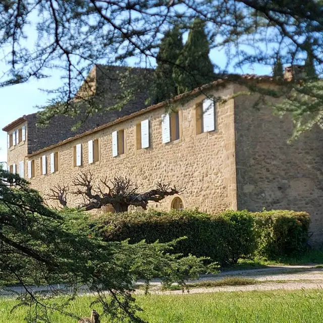 Château Saint Pierre de Mejans