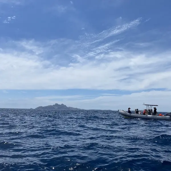 Sortie nature du Muséum - Navigation entre les îles de Marseille (Complet)
