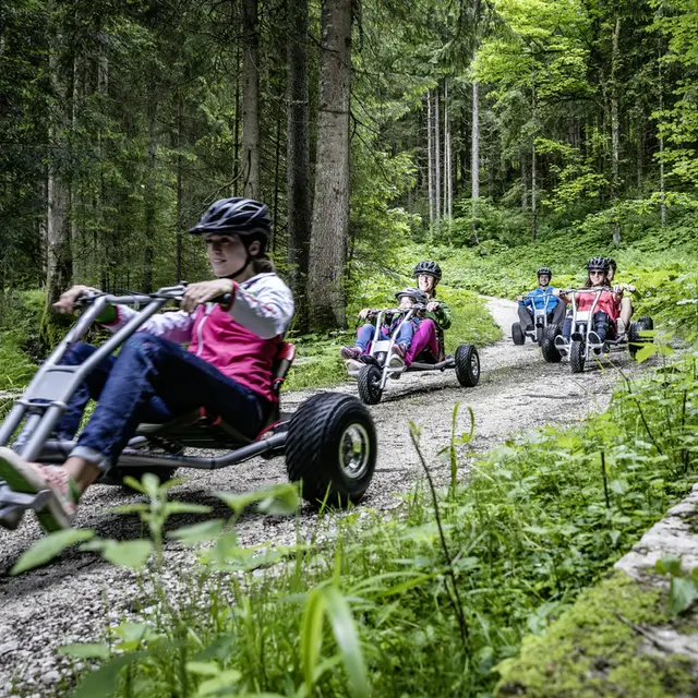 Mountain Cart - Sainte Foy