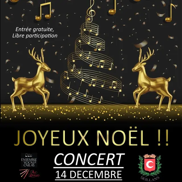 Concert Joyeux Noël_Seillans