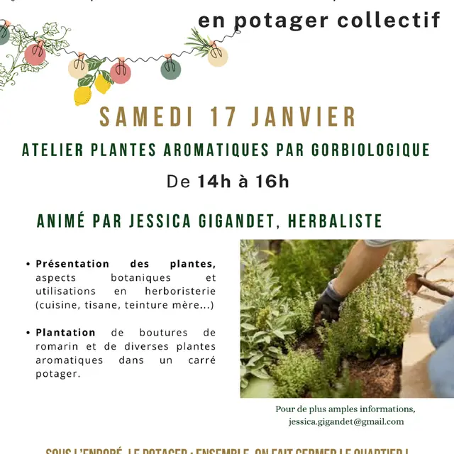 Atelier plantes aromatiques