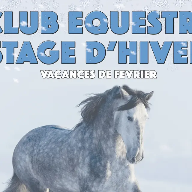 Stage Equestre d'Hiver_Villeneuve-Loubet