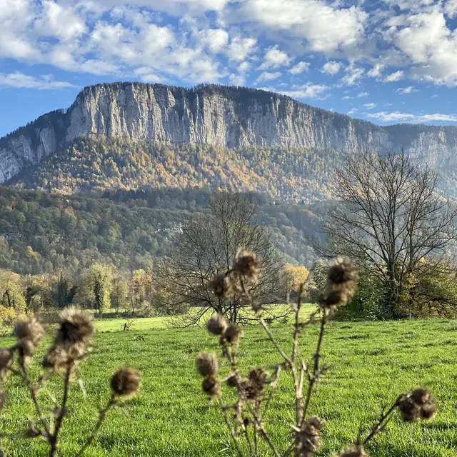 Camping l'Arc en Ciel - Entre-Deux-Guiers