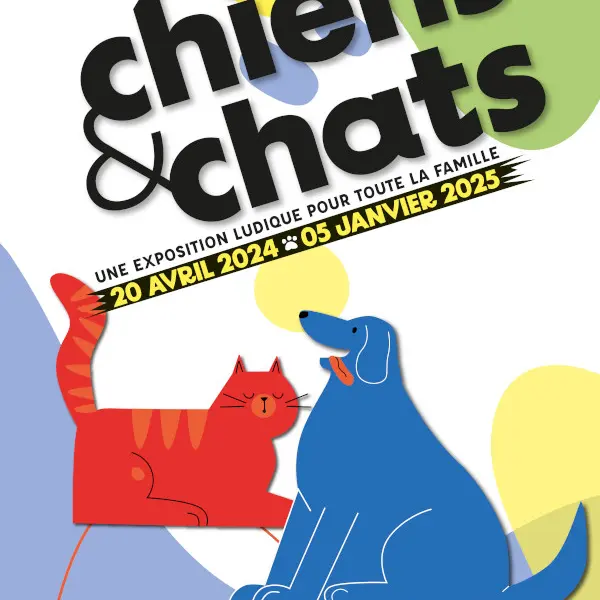 Chiens & chats - Muséum d’histoire naturelle de Marseille  - Ville de Marseille