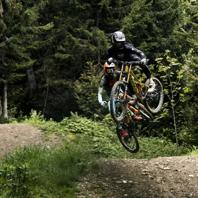 Piste VTT Vink Line partie inférieure