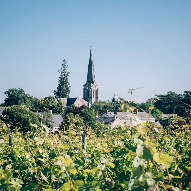 Village de Savennières