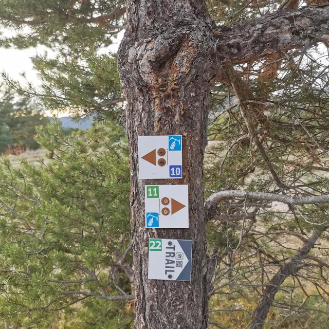 Circuit VTT N°10: La Nordique_Gréolières