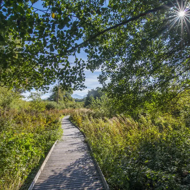Géosite du marais du Maravant - Géoparc mondial UNESCO du Chablais