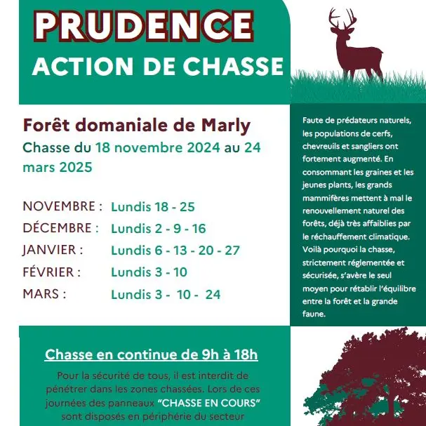 Jours de chasse 2024 - 2025_Marly-le-Roi