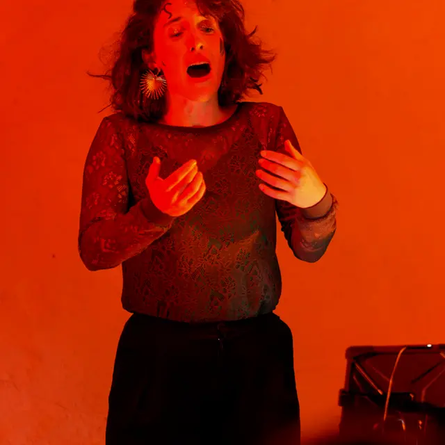 Concert - Le chant du cygne_Alès