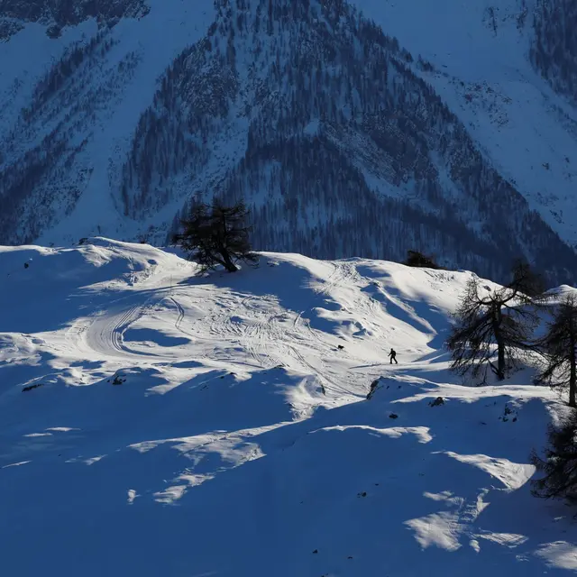 la tête et les jambes psv TM