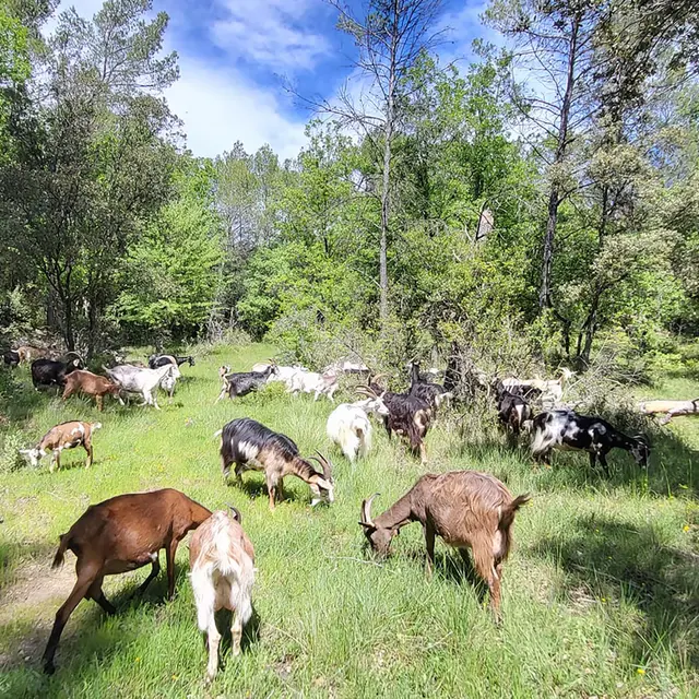 Terra Cabrun_Cabasse