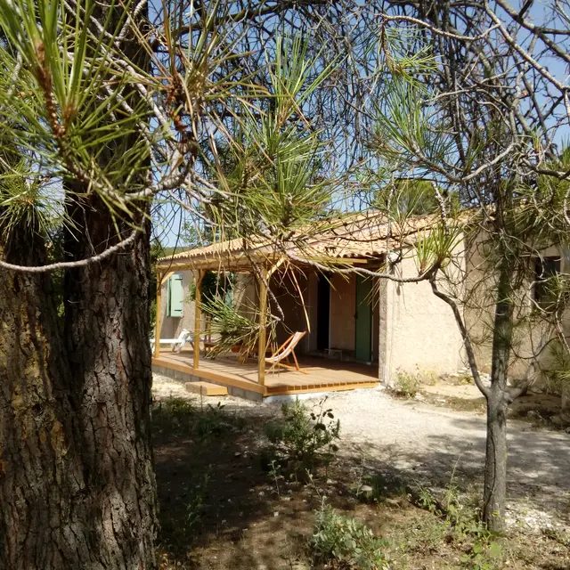 Sous les pins de la Tuilière