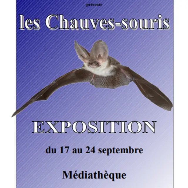 LES CHAUVES-SOURIS_La Mole