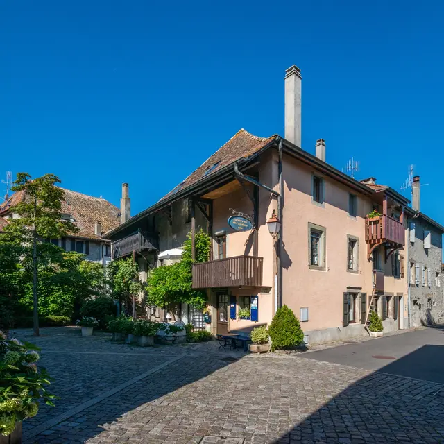 Visite guidée de Nernier : sur les traces des Romantiques_Nernier