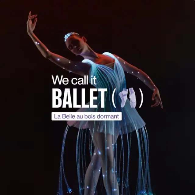 We call it Ballet: la Belle au bois dormant_Avignon