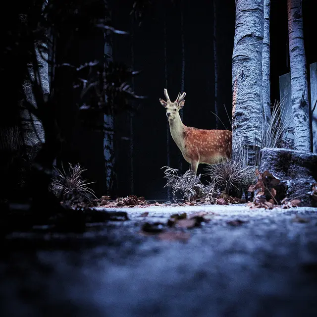 Visite de décors - Neige_Martigues