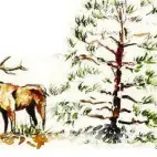 Immersions, cinq ans sur le Ventoux - Exposition_Cabrières-d'Avignon