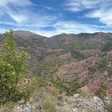 Faune et flore au-dessus de la vallée de la Roudoule_La Croix-sur-Roudoule