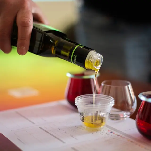 Rencontre gourmande ·  dégustation et initiation à l’oléologie_Avignon