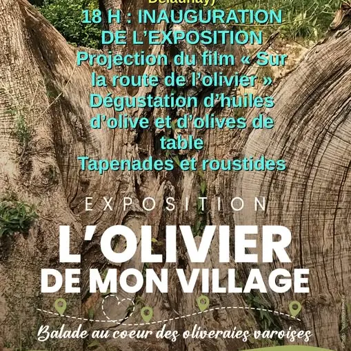 Exposition L'Olivier de mon village_Figanières