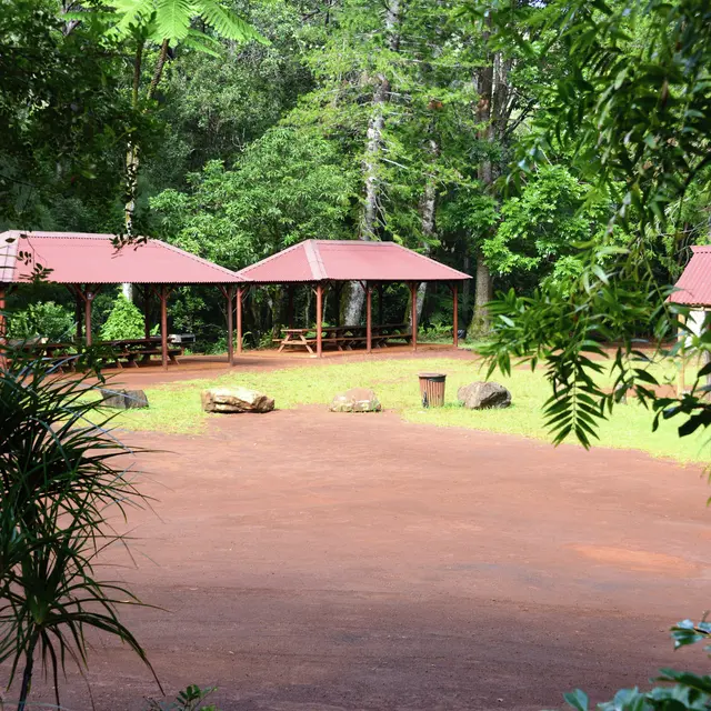 Bois du Sud