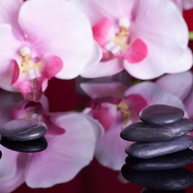 Sol en Zen - sophrologue_Auvillar