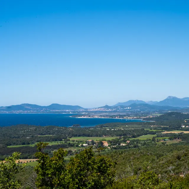 Gastronomie & vins, les pieds dans l’eau, la tête dans les étoiles à La Londe