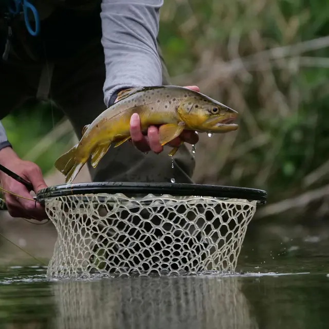 Enduro carpe_Saint-Martin-Lestra