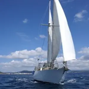 Association Les Fous du vent Marseille.jpg