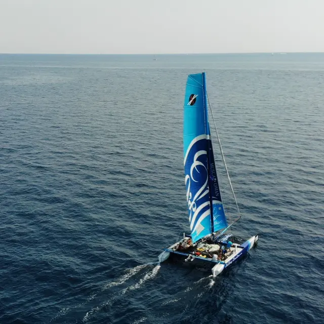 Sailing Evasion
