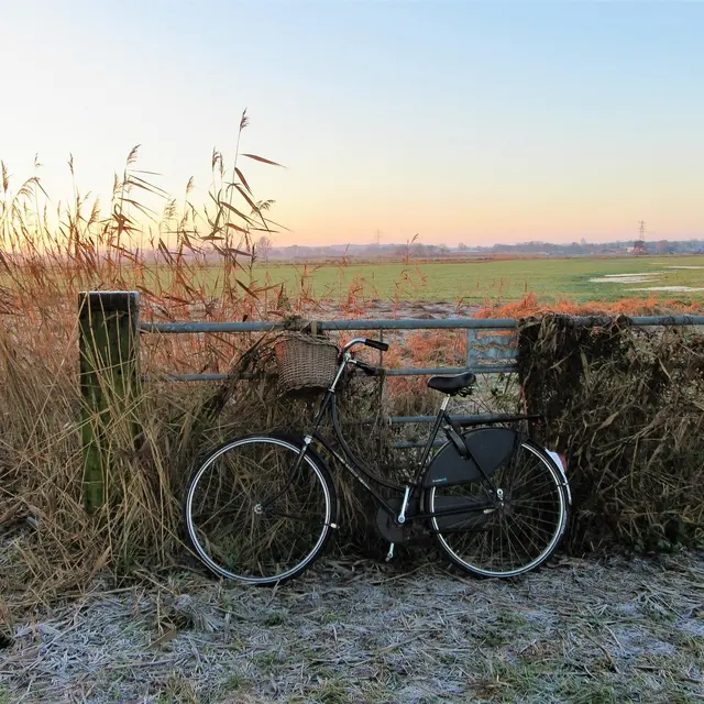 Parking vélos - Plage du Petit Bec_Les Portes-en-Ré