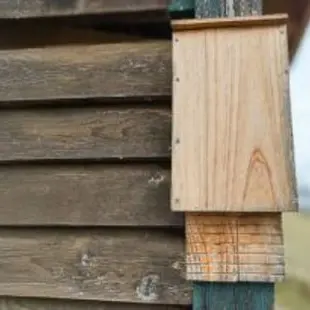 Les ateliers du jardin - Abri à chauve-souris_Allex