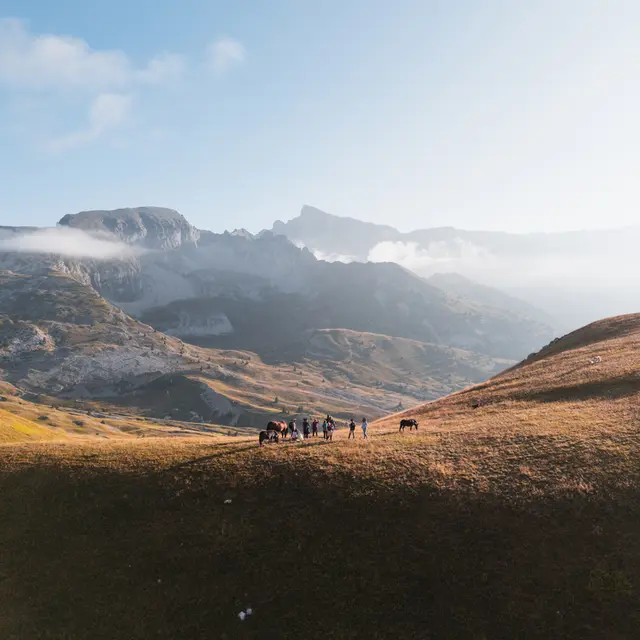 Zen Agritude : Rencontre Pastoralisme avec Mathilde, bergère au col de Rabou_Dévoluy