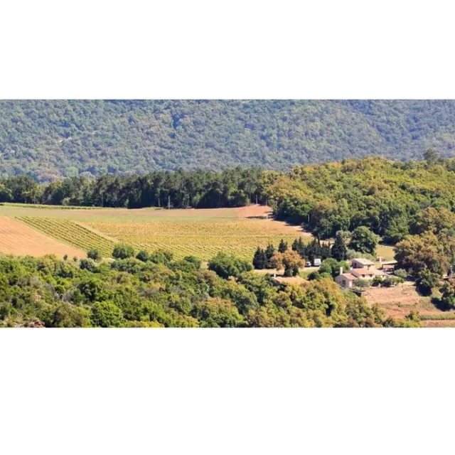 Domaine des Murennes