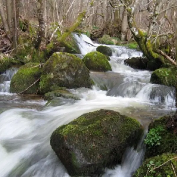 sentier_moulin_A.GEOURJON2_800