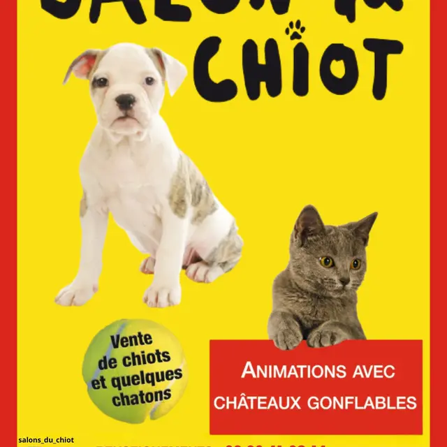 Affiche_Salon du Chiot_Bourg en Bresse