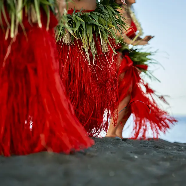 Hip's Bora Bora - Fare Mata'i_Bora Bora