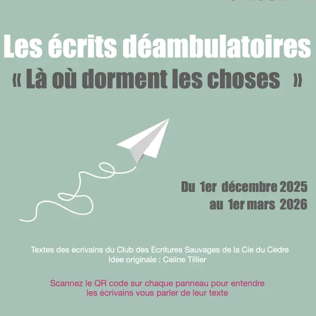 affiche les Ecrits déambulatoires